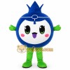 Blueberry Mascot Fruit Costume Suit Blueberry Mascot Fruit Costume Suit