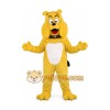 Bulldog Mascot Costume With Collar Bulldog Mascot Costume With Collar