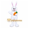 Easter Bunny White Whit Carrot Mascot Costume