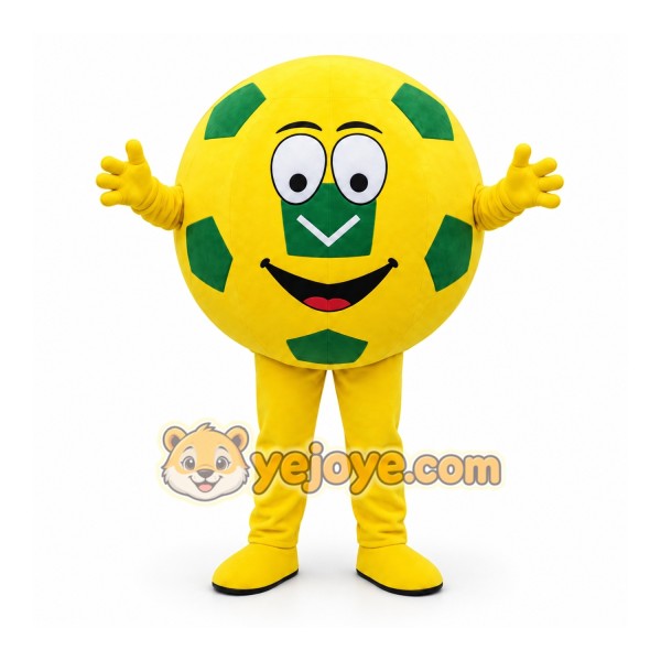 Football _ Basketball Mascot Costume
