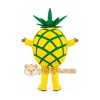 Adult Fruit Pineapple Mascot Costume Adult Fruit Pineapple Mascot Costume
