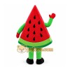 Fruit Watermelon Costume Cosplay Outfits Cartoon Mascot Costume Fruit Watermelon Costume Cosplay Outfits Cartoon Mascot Costume