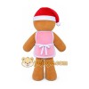 Gingerbread Girl Mascot Costume for Adult