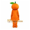 Orange Fruit Mascot Costume Orange Fruit Mascot Costume