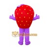 Professional Girl Strawberry Fruit Mascot Costume