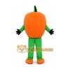 Professional Mascot Costume Pumpk