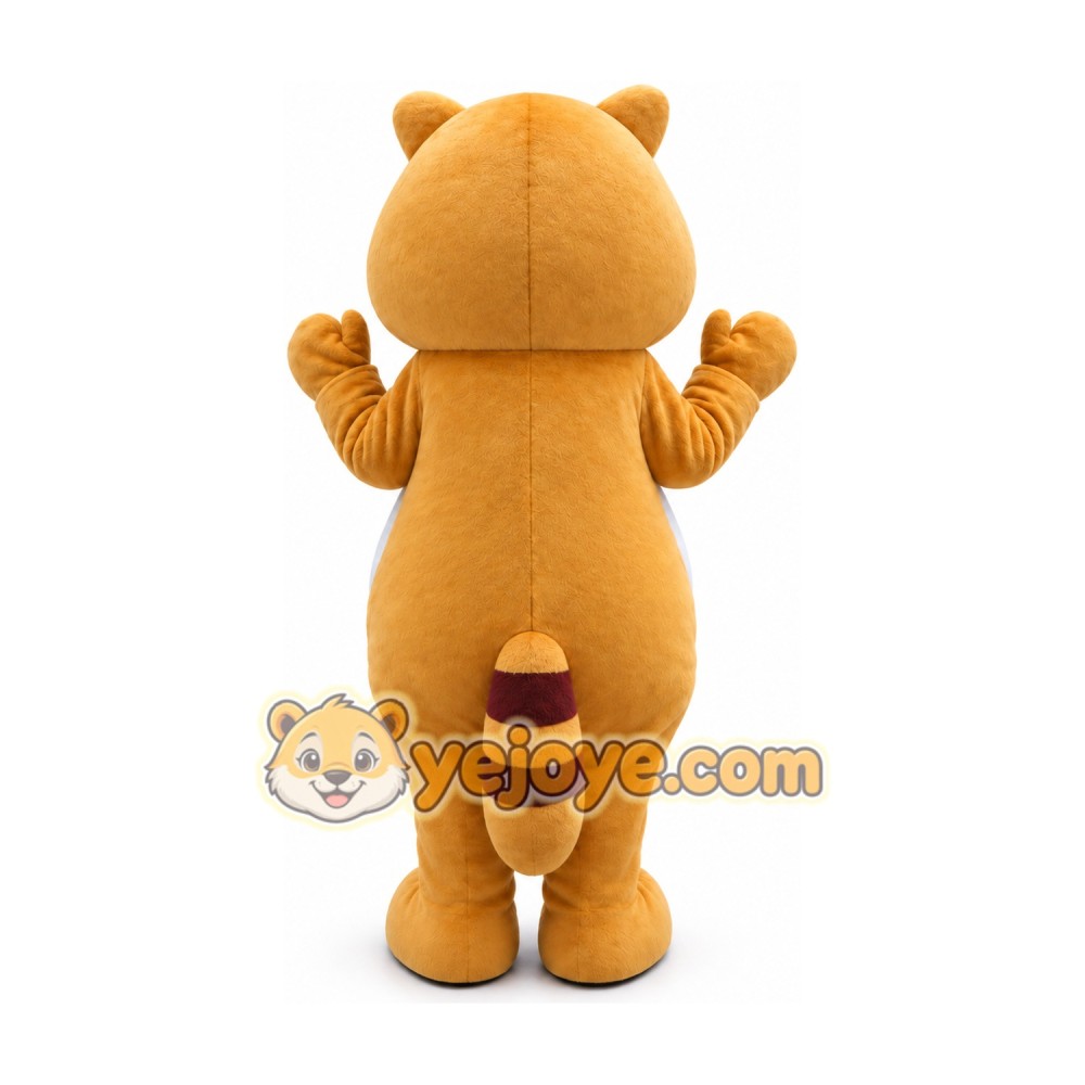 Racoon Cartoon Mascot Costume
