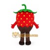 Strawberry Mascot Costume Strawberry Mascot Costume