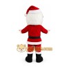 Santa Claus Mascot Costume