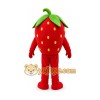 Strawberry Mascot Costume Strawberry Mascot Costume