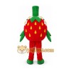 Strawberry Mascot Costume Adult Halloween Costume Strawberry Mascot Costume Adult Halloween Costume