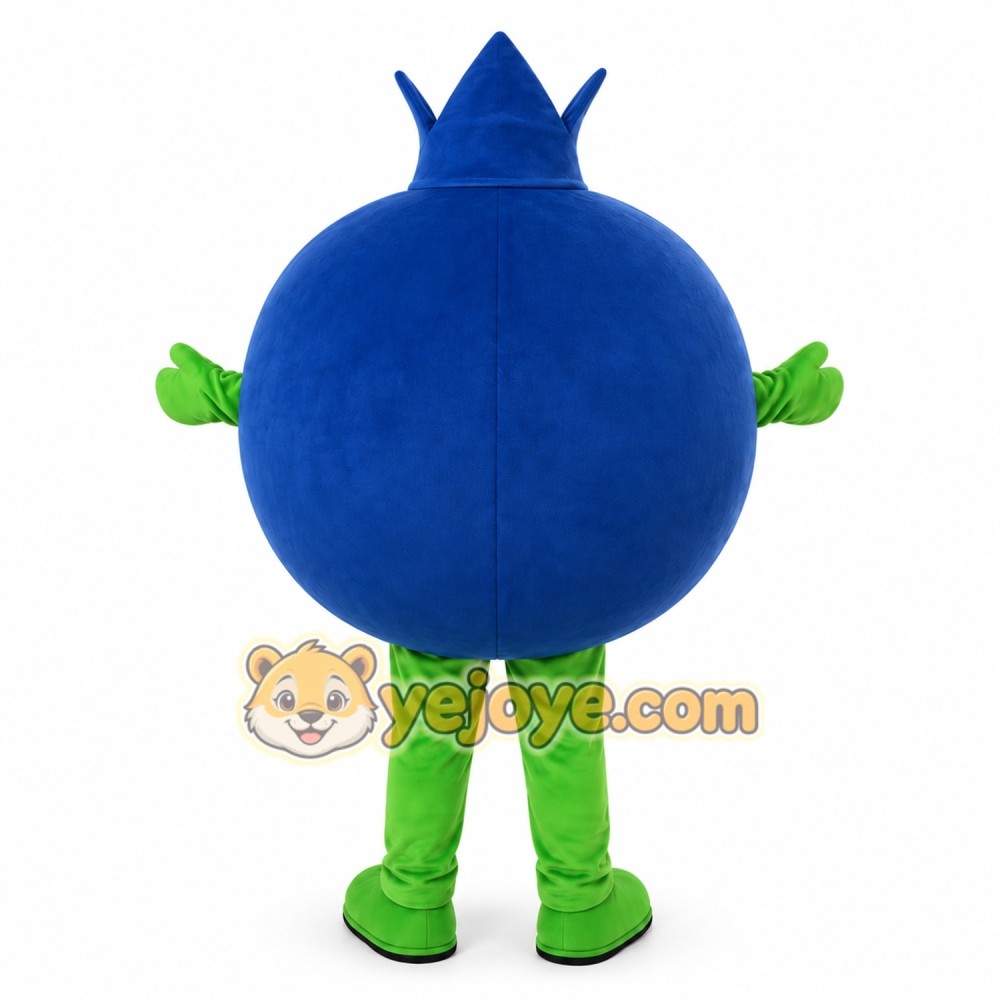 Blueberry Mascot Fruit Costume Suit Blueberry Mascot Fruit Costume Suit