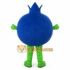 Blueberry Mascot Fruit Costume Suit Blueberry Mascot Fruit Costume Suit