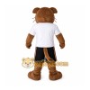 Cougar Mascot Wildcat Wild Cat Costume Cougar Mascot Wildcat Wild Cat Costume