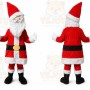 Adult Santa Claus Cartoon Mascot Costume