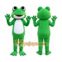 Frog Mascot Costume for Adults