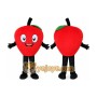 Fruit Apple Cartoon Mascot Costume