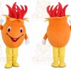 Fruit Mascot Costume