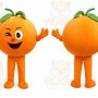 Fruit Orange Mascot Costume