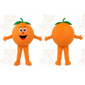 Fruit Oranges Mascot Costume Fruit Cartoon