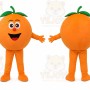 Fruit Oranges Mascot Costume Fruit Cartoon