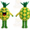 Fruit Pineapple Cartoon Mascot Costume