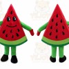 Fruit Watermelon Costume Cosplay Outfits Cartoon Mascot Costume