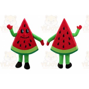 Fruit Watermelon Costume Cosplay Outfits Cartoon Mascot Costume