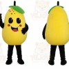 Fruits And Vegetables Pears Mascot Costume