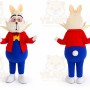 Alice Rabbit Mascot Costume