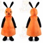 Giant Flop Mascot Costume