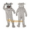 Gray Bulldog Mascot Costume