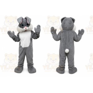 Gray Hare Mascot Costumes