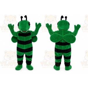 Green Bee Mascot Costume