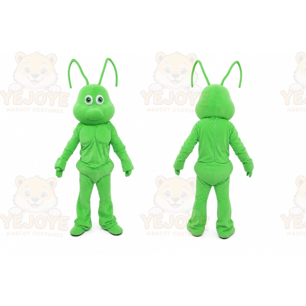 Ant Mascot Costume
