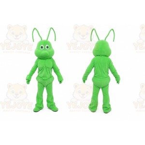 Ant Mascot Costume