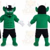 Green Devil Mascot Costume Custom Cartoon Character Cosplay