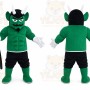 Green Devil Mascot Costume Custom Cartoon Character Cosplay