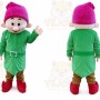 Green Dwarf Elf Mascot Costume