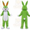 Green Rabbit Bunny Mascot Costume
