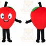 Apple Cartoon Mascot Costume