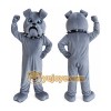 Grey Bulldog Dog Mascot Costume Grey Bulldog Dog Mascot Costume