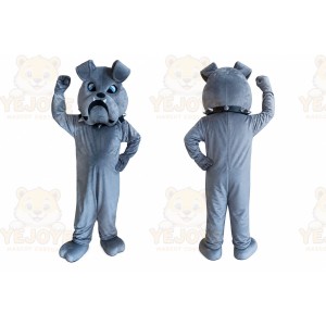 Grey Bulldog Dog Mascot Costume