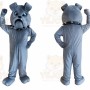 Grey Bulldog Dog Mascot Costume