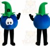 Halloween Blueberry Mascot Costume