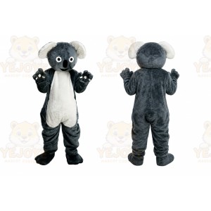 Halloween Gray Koala Mascot Costume
