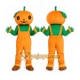 Pumpkin Character Mascot Costume