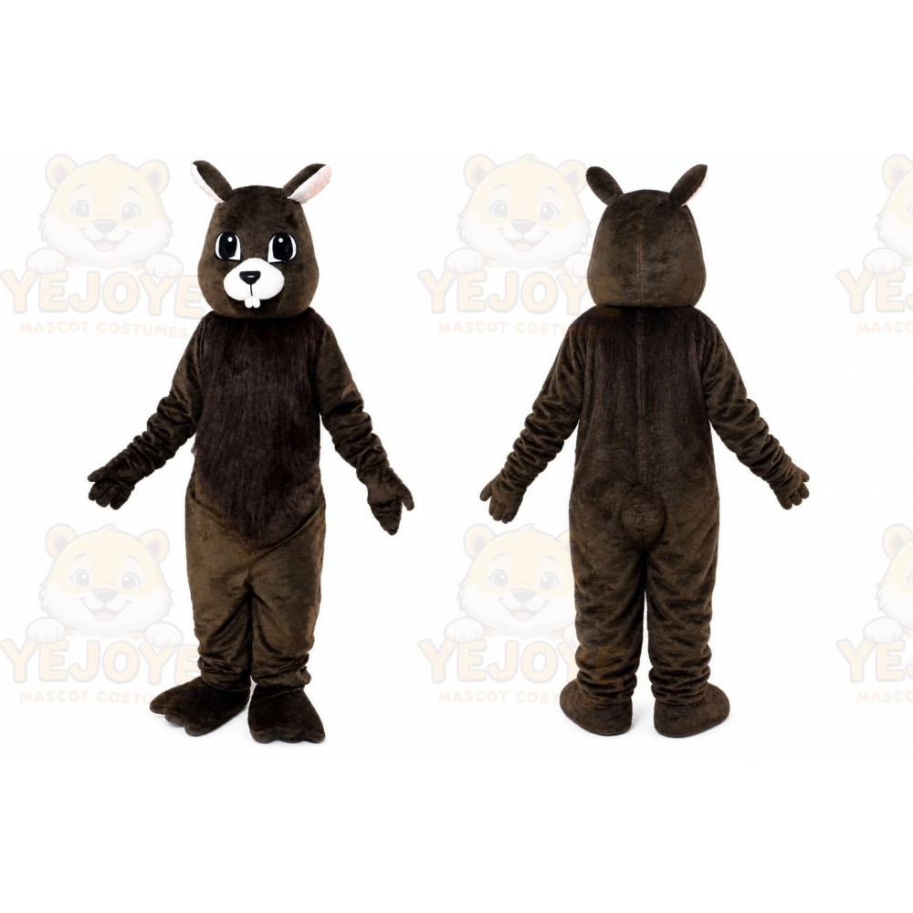 Halloween Squirrel Mascot Costume
