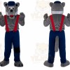 Halloween Wolf Mascot Costume