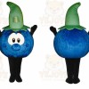 Happy Blue Berry Fruit Mascot Costume